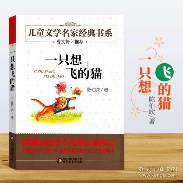 徐志摩认为妻子张幼仪很“土”，张君劢却认为，妹妹是最好的宝贝